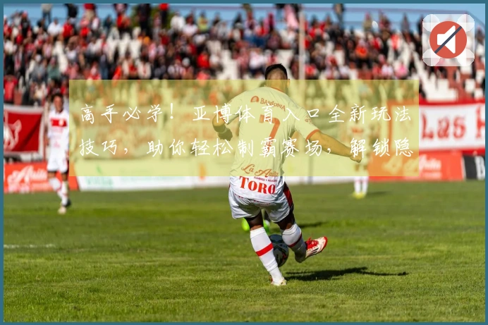 高手必学！亚博体育入口全新玩法技巧，助你轻松制霸赛场，解锁隐藏收益！